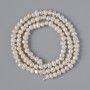Freshwater Pearl Beads, diameter 4×3.5 mm, length 35 cm on a thread