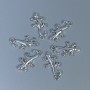 Pendant findings 'Lizard', silver-tone metal color, size 23×13×2 mm, hole diameter 2 mm, packaging 12 pcs