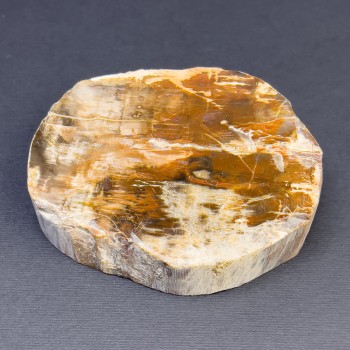 Price per 100g. Natural petrified wood slice, dimensions ~90x80x23 mm, weight ~250 g