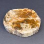Price per 100g. Natural petrified wood slice, dimensions ~90x80x23 mm, weight ~250 g