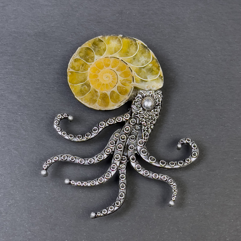 Ammonite Brooch-Pendant, diameter 32-38 mm ±, silver-toned metal 67x53 mm ±, Assorted sizes