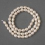 Beads of natural river pearls, oval 6x5 mm, on a thread