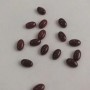 Cabochon Findings, Mini Oval, Red Jasper, 8x5 mm+