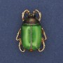 Beetle Brooch with Green Enamel and Black Crystals 23×31mm