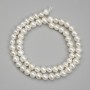 Freshwater Pearl Beads, diameter 7.5–8×8 mm, on a thread, length 36 cm+