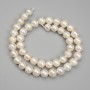 Freshwater Pearl Beads, diameter 7.5–8×8–9 mm, on a thread, length 36 cm+
