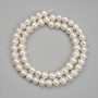 River Pearl Beads, diameter 6.5–7×7 mm on a thread, length 36 cm+
