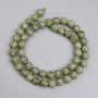 Serpentine Beads - Smooth 8mm on Thread