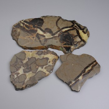 Septarian Stone Souvenir Plate 113x90x10 (assorted size) (Price per 100 g)