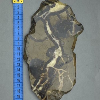 Septarian Natural Stone Plaque, 19 x 11 x 0.9 cm ± (weight 341 g)