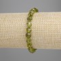 Chrysoprase Bracelet with Faceted Beads, 7.5x7.5 mm diameter, 18 cm length, elastic