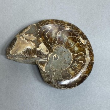 Ammonite with a cavity souvenir stone, diameter 94 mm ±, weight 206 g (price per piece)