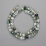 Moss Agate Beads, Faceted Cube 7x7mm, Length 39 cm