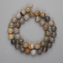Coral Beads, Smooth Round 10mm, 39 cm length