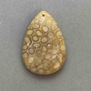 Fossilized Coral Pendant 48×32 mm+