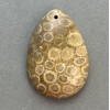 Fossilized Coral Pendant 35×23 mm