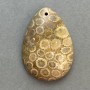 Fossilized Coral Pendant 35×23 mm
