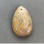 Fossilized Coral Pendant 39×27 mm+