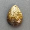 Petrified Coral Pendant 34×25 mm+
