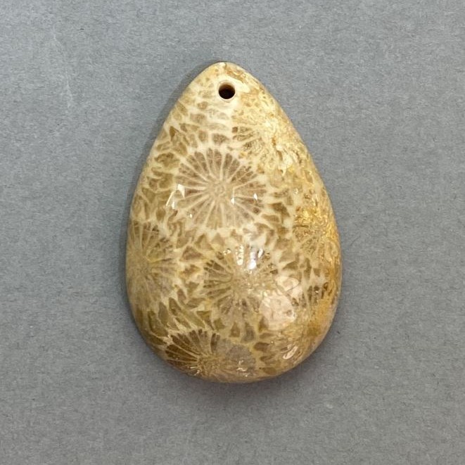 Fossilized Coral Pendant 36×24 mm+