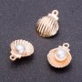 Shell Pendant with Pearl in Light Gold, 12 mm diameter, 15 mm length, 7 pcs