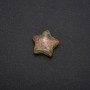 Star-Shaped Heliotrope Jasper Souvenir Stone 28×28×10(±)mm