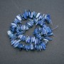 Kyanite beads, natural stone chip «Needle» shape, diameter 18×3 mm, length 40 cm +/- on thread