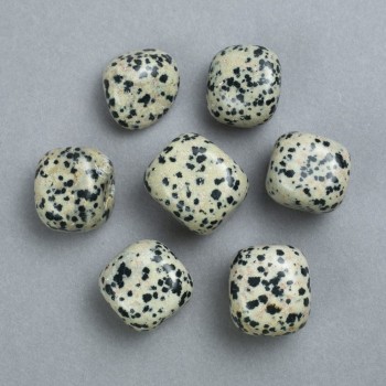 Souvenir Natural Stone Dalmatian Jasper, diameter 22x20mm ± (packaging 100g)