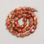 Beads on a string, natural stone Carnelian faceted rondelle, 8×10 mm +