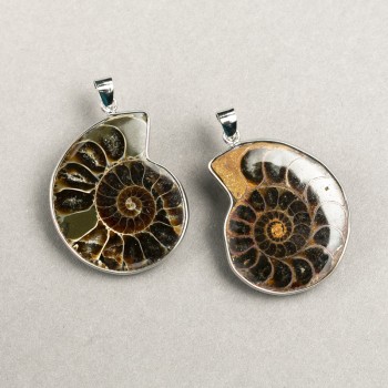 Ammonite pendant in a silver bezel, assorted sizes from 30×40 mm to 40×50 mm (each)