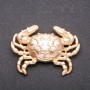 Royal Crab Brooch in Yellow Metal
