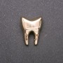 Brooch Golden Tooth in Yellow Metal 17×23 mm