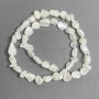 Mother-of-pearl faceted beads, 8x6 mm, 41 cm long on beading wire