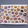 Carnelian Geode Assortment in Various Sizes (price per box)