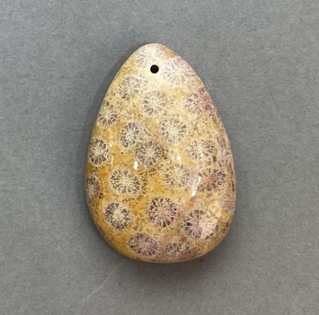 Fossilized Coral Pendant 39×27 mm+