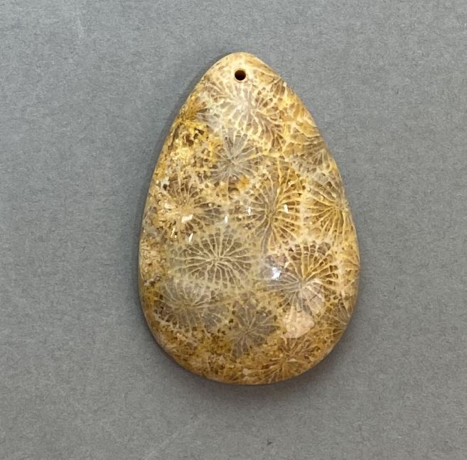 Fossilized Coral Pendant 45×29 mm+